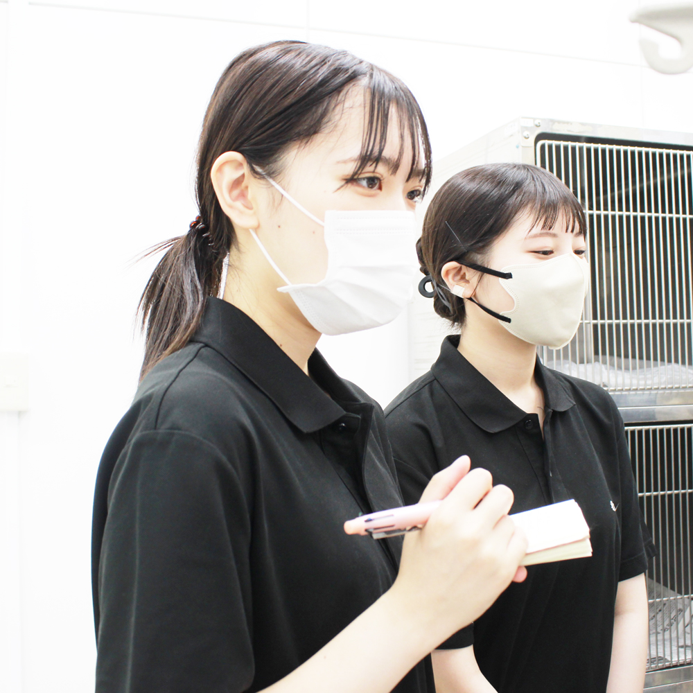 歯石除去の処置を勉強！